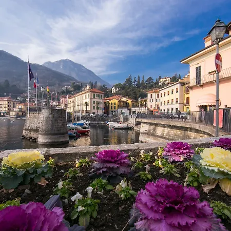 Royale Apartamento *