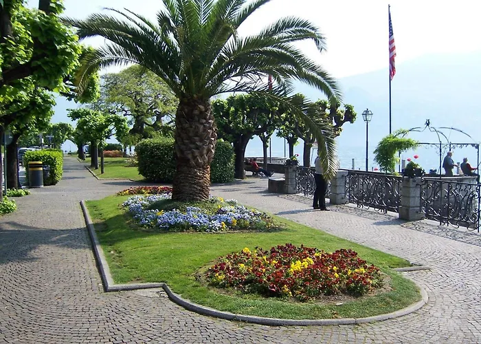 Royale * 메나지오